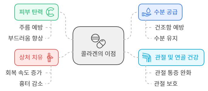 콜라겐 이점