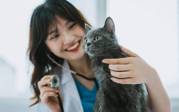 수의테크니션이 보호자에게 신뢰를 주는 말버릇