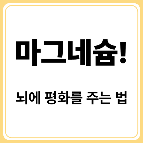 마그네슘이 뇌를 진정시키는 이유! 스트레스 신경 안정제