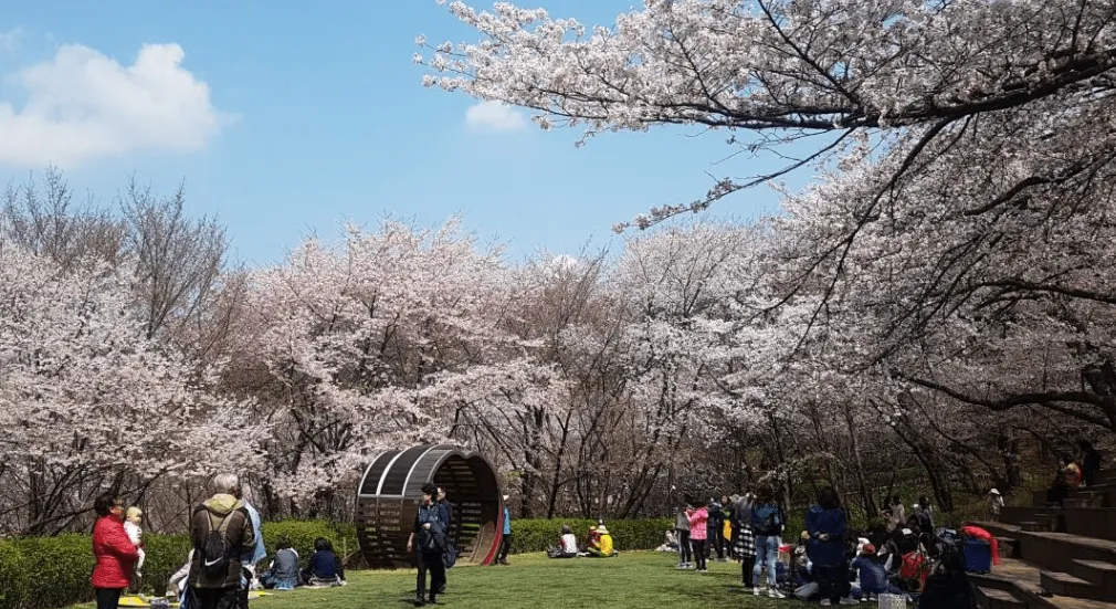 서대문-안산-잔디마당-바로-예약