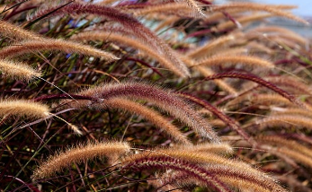 디즈니런 서울 2025 놓치면 후회하는 정보 9