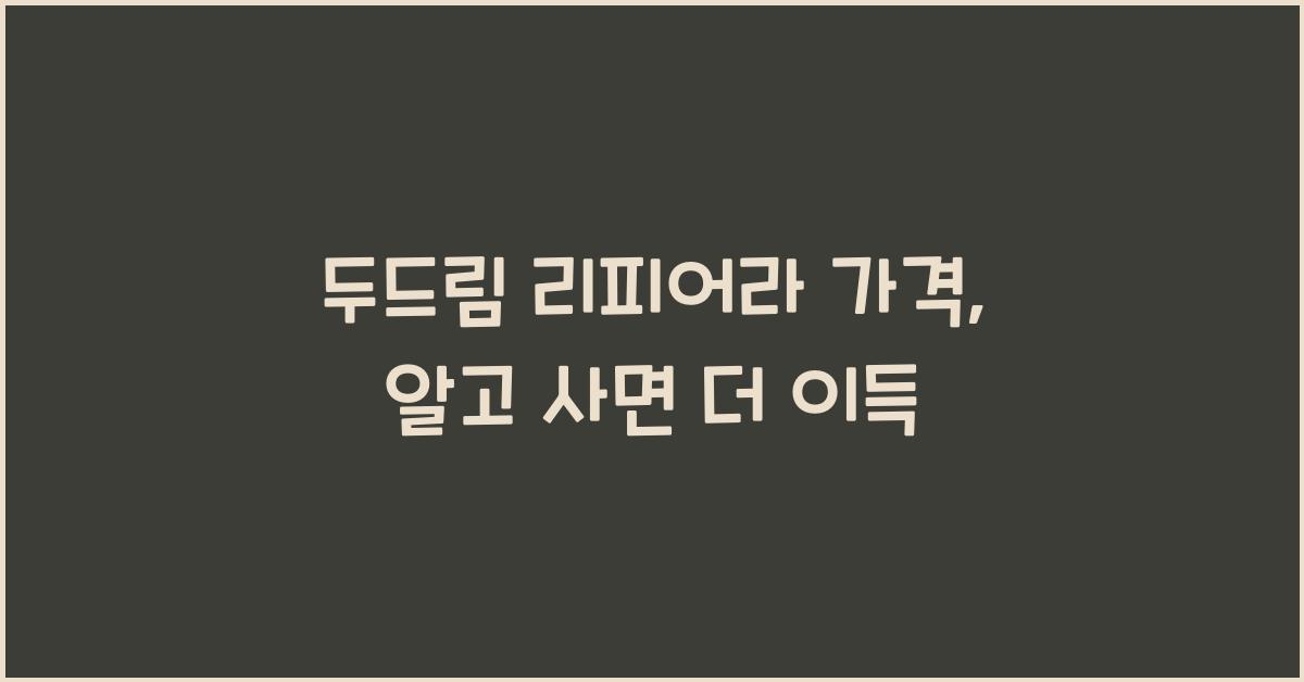 두드림 리피어라 가격