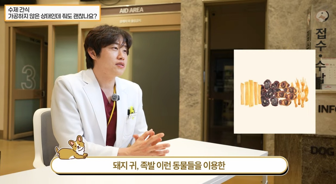 강아지 천연 간식의 배신? 돼지귀&middot;뼈 간식 급여 전 반드시 알아야 할 수의사 경고 및 안전 가이드