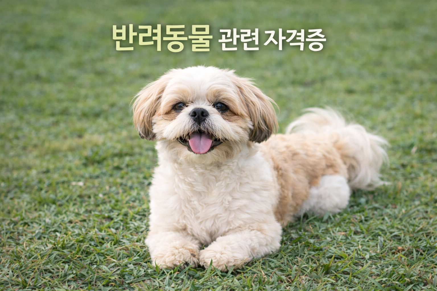 50대 여성 유망 자격증