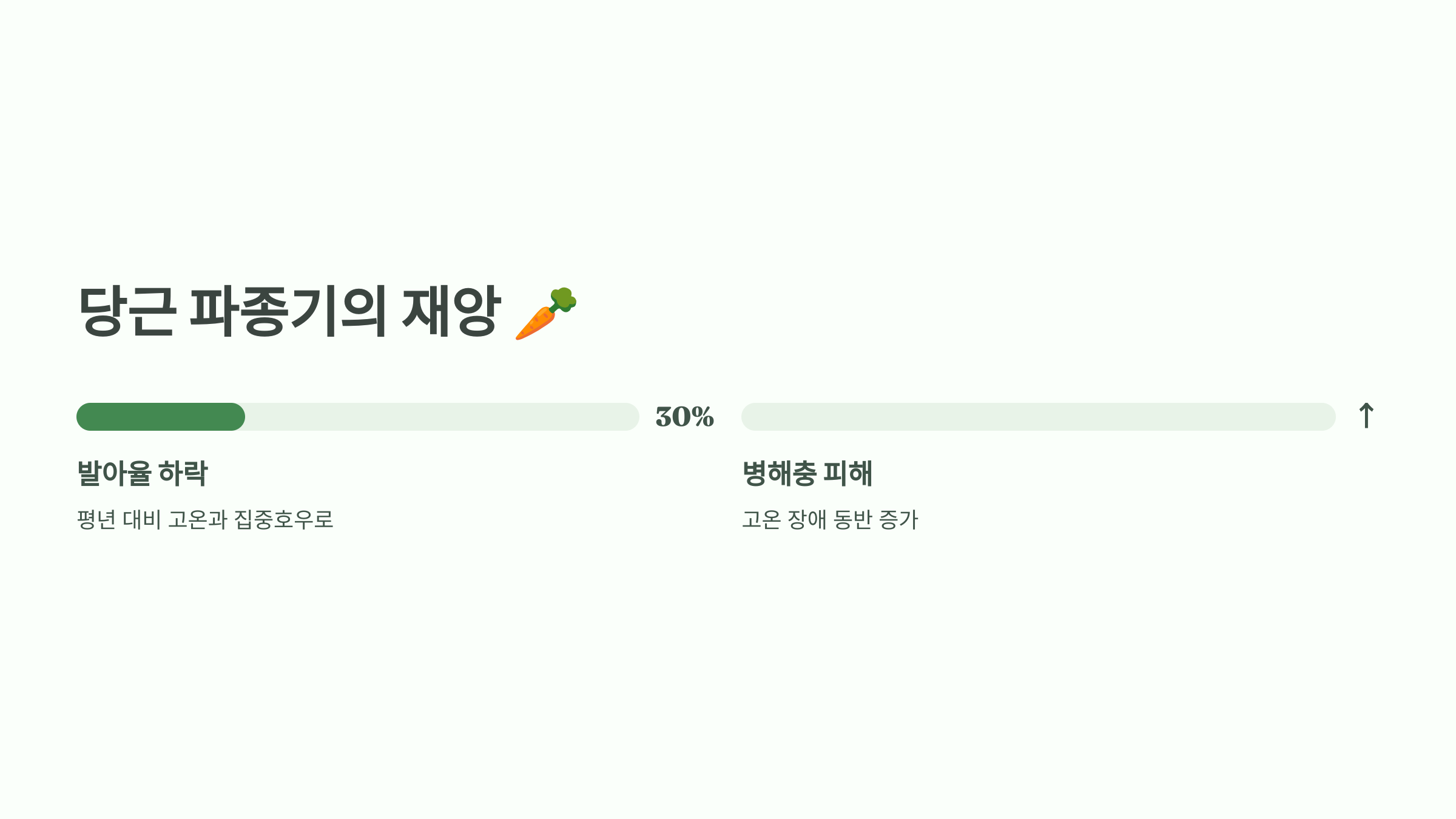 당근 파종기의 재앙