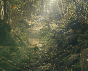 산림복지서비스이용권