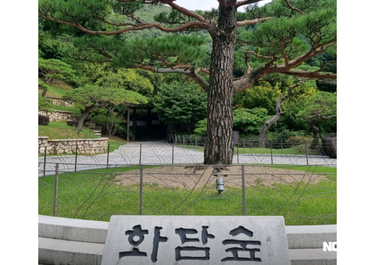 자연과 인간의 조화로운 만남