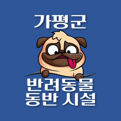썸네일-가평군-반려동물-출입가능-장소-안내