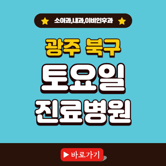 광주 북구 토요일 진료 병원 찾기 ❘ 주말 문여는 소아과, 내과, 이비인후과 리스트
