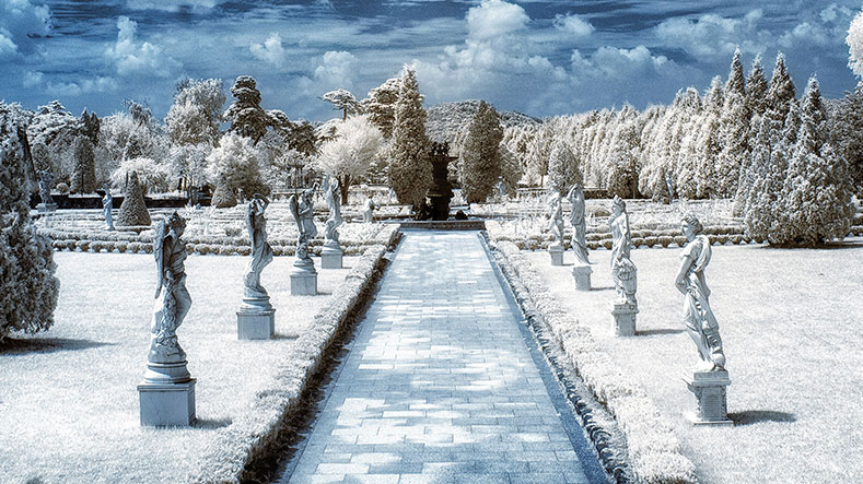 벽초지수목원 겨울 사진