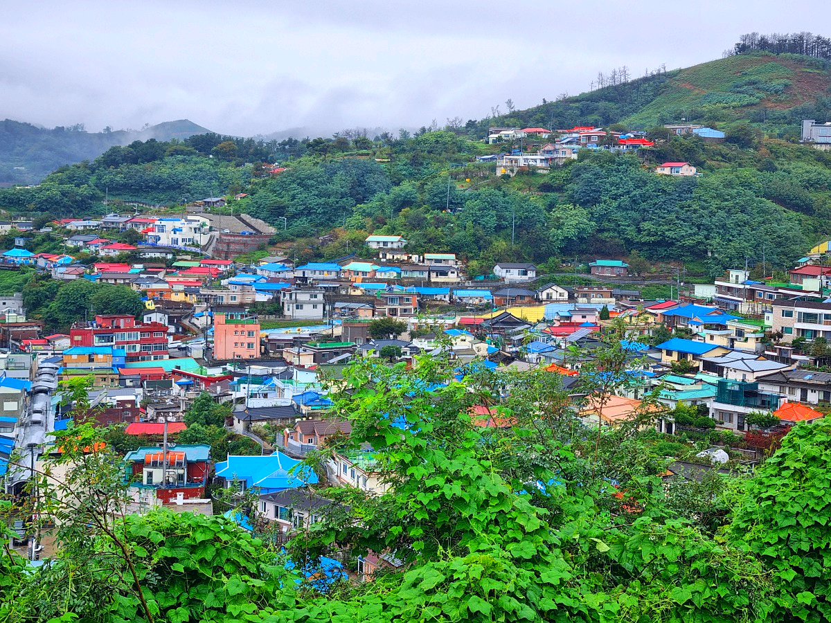 동해 묵호 가볼만한 곳 논골담길 - 바다와 골목, 벽화로 만나는 감성 여행지