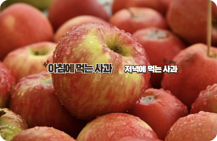 아침에 먹는 사과의 효능