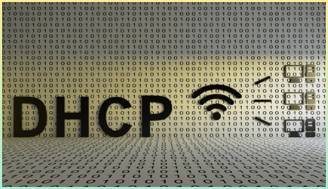 DHCP에 대한 시각적 이미지 0과1의 배경으로 디지털 느낌을 강조