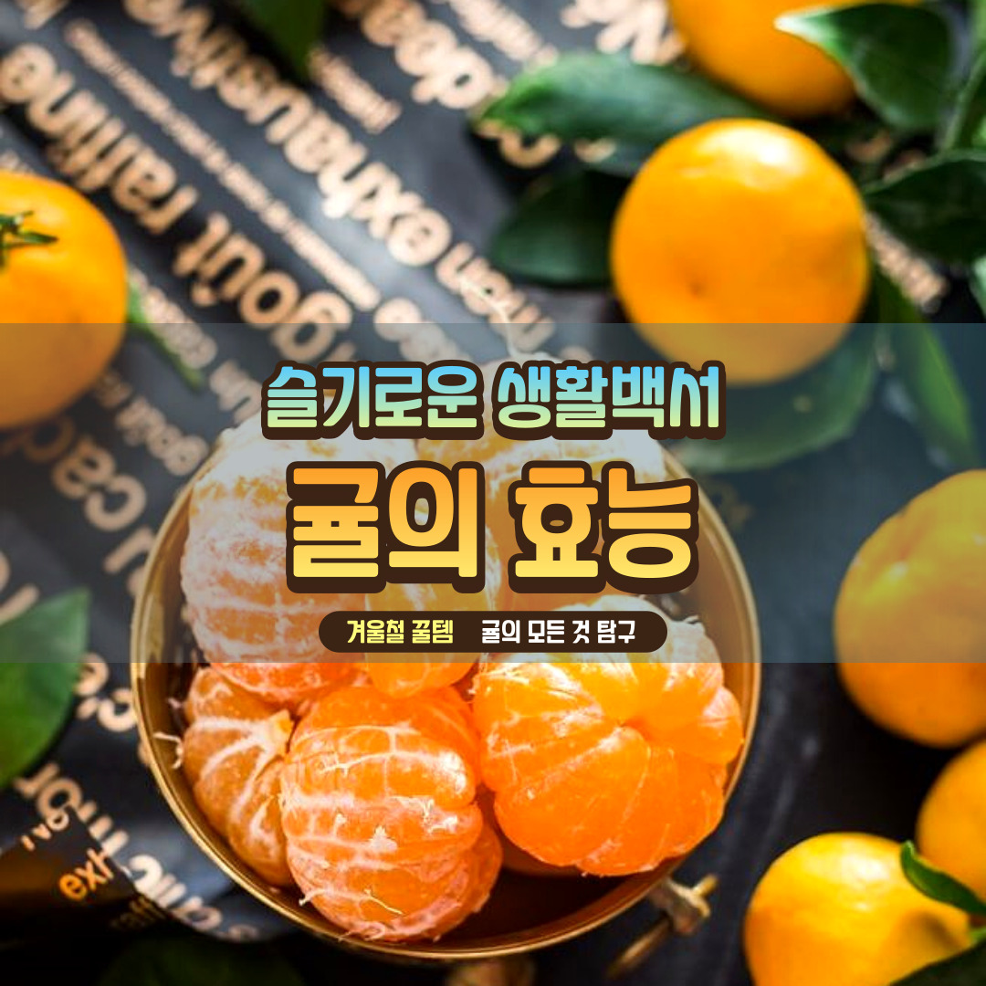 귤의 효능
