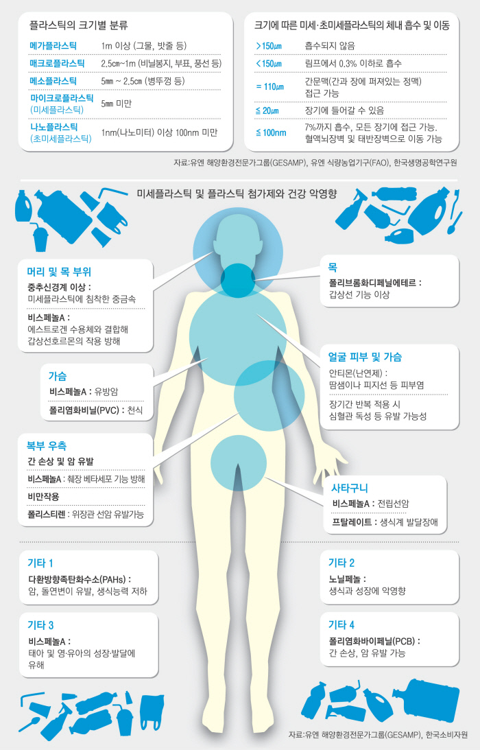 미세플라스틱이 우리몸에 끼치는 악영향