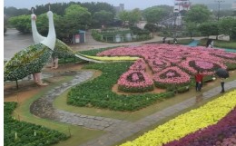 태안 튤립 축제(2025) 일정 맛집 추천관광지 관련 사진