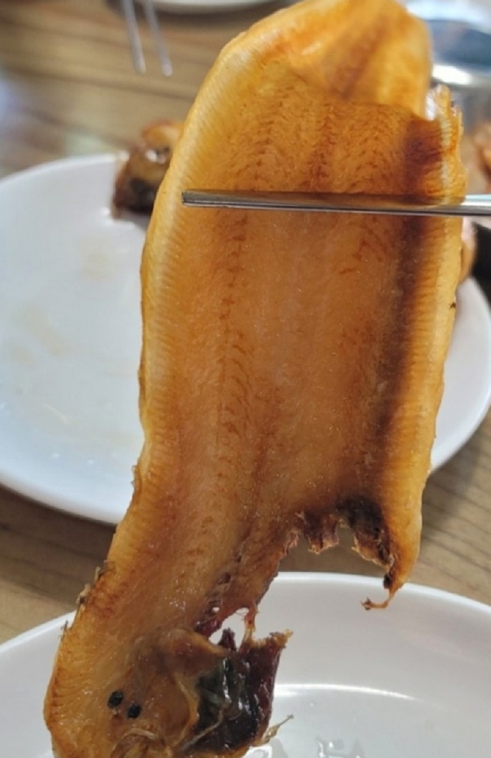 전현무계획-대부도-박대구이-문성5호