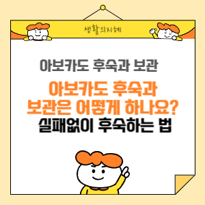 아보카도 실패없이 후숙 방법과 보관방법