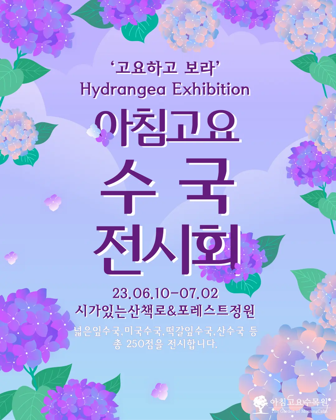 아침고요-수국전시회