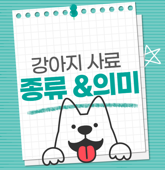 강아지 사료 종류 및 의미 (홀리스틱,그레인프리,휴먼그레이드)