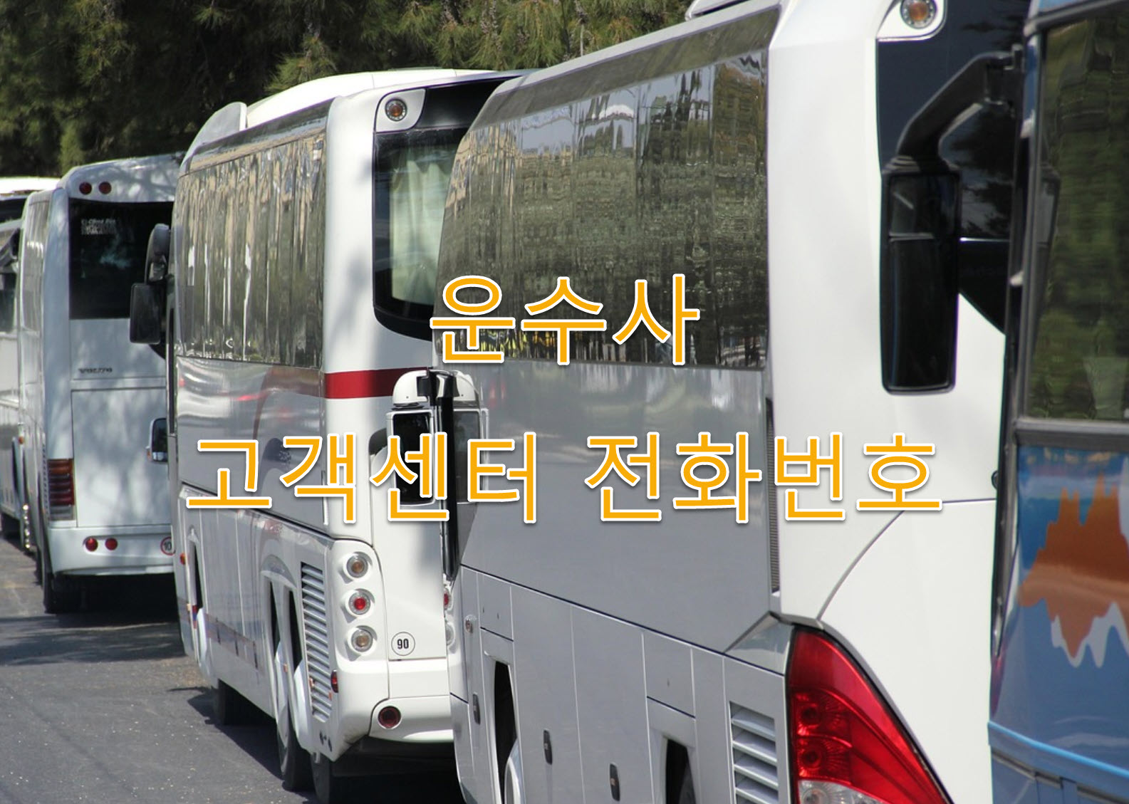 장성군 군민운수 노선, 주소, 고객센터 전화번호 완벽정리