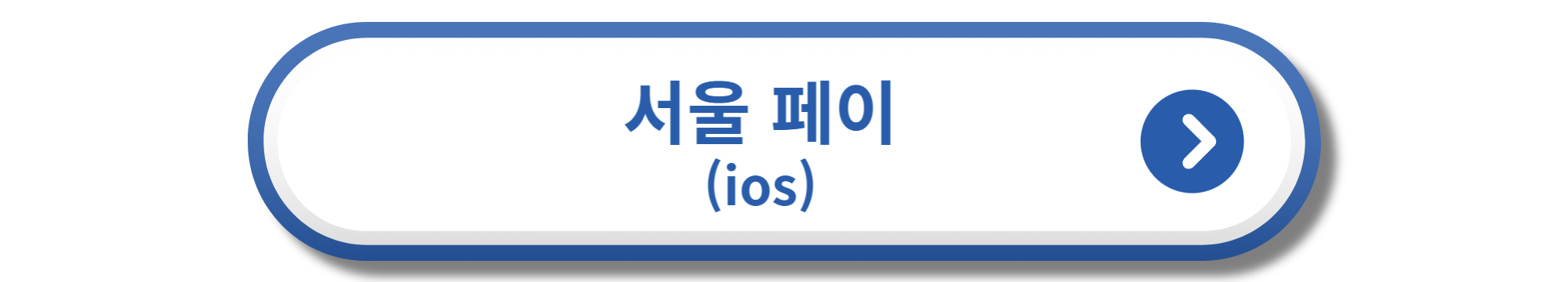 서울 페이 아이폰