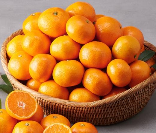 한국의 떡 종류 오메기떡-귤