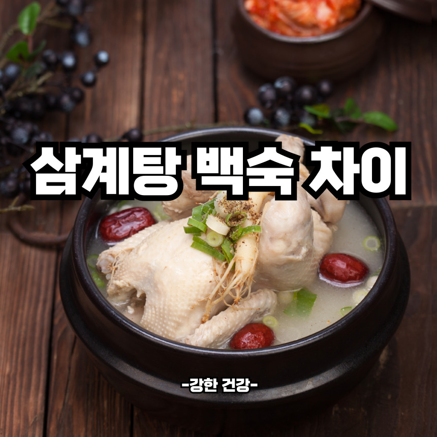 삼계탕 백숙 차이