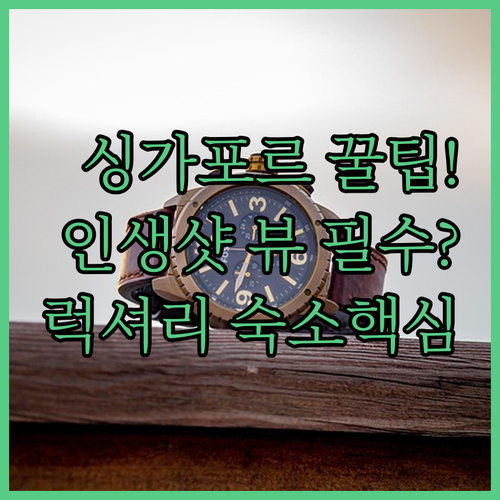 싱가포르 호텔 선택 가이드 뷰 쇼핑 ..