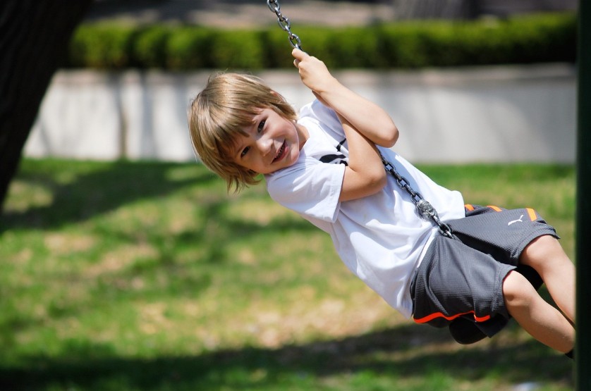 책 리뷰 아들의 뇌 사진