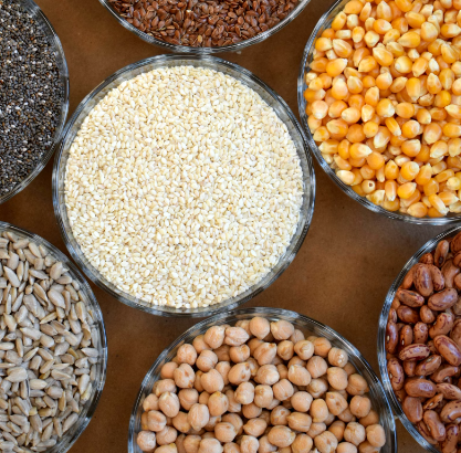 활성 엽산 식품