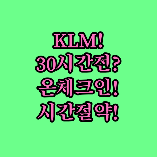 KLM 출발 30시간 전 온라인 체크..