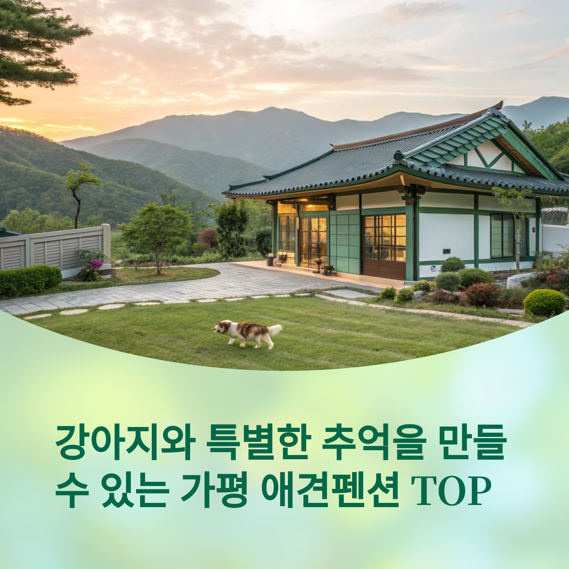 강아지와 특별한 추억을 만들 수 있는 가평 애견펜션 top