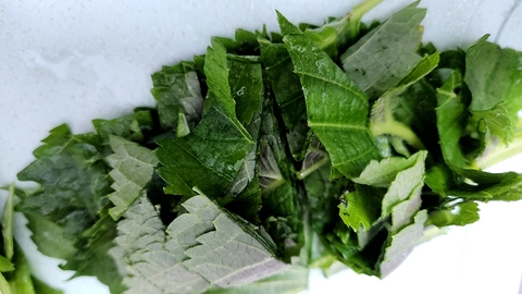 깻잎 채