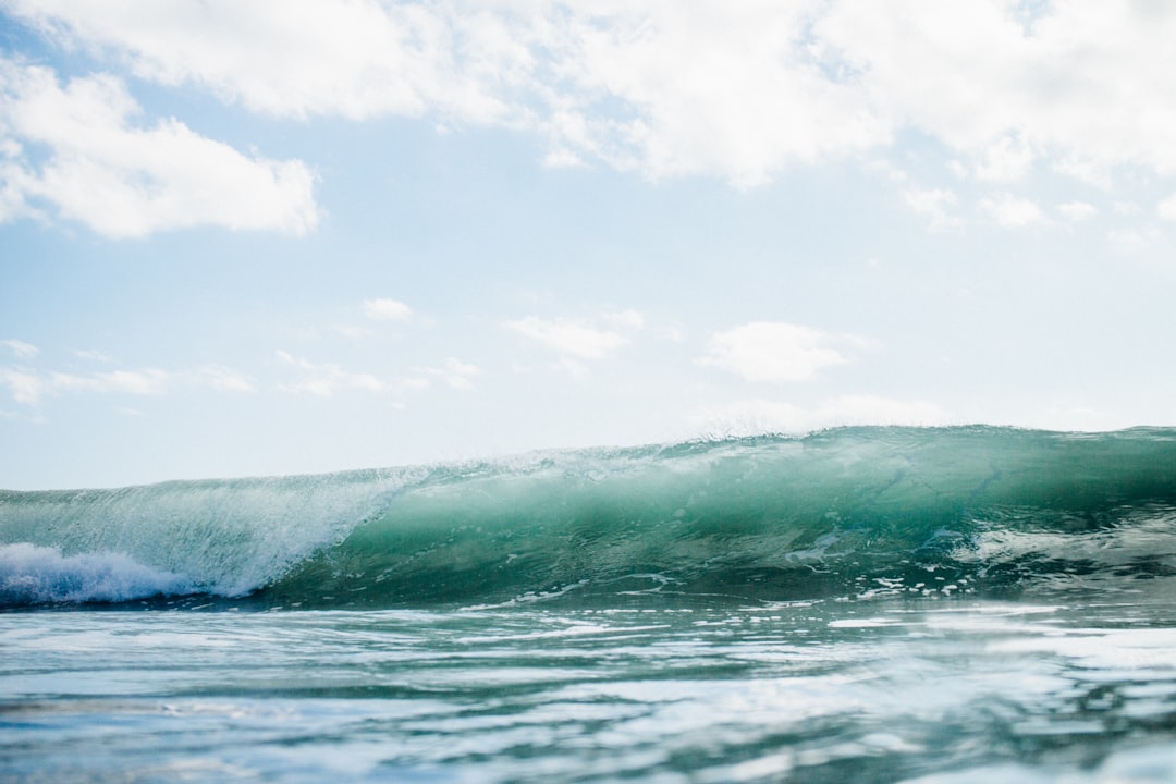 Wave.