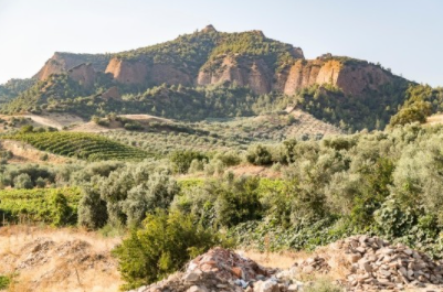 올네이션스목자의기도원