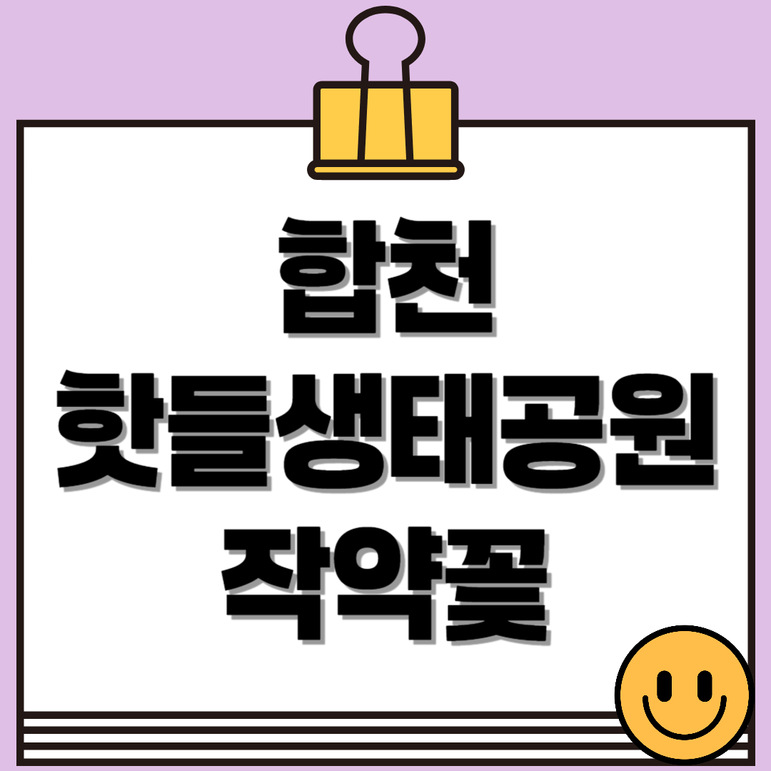 합천 핫들생태공원 작약꽃 만개 시기와 인생샷 포인트 총정리