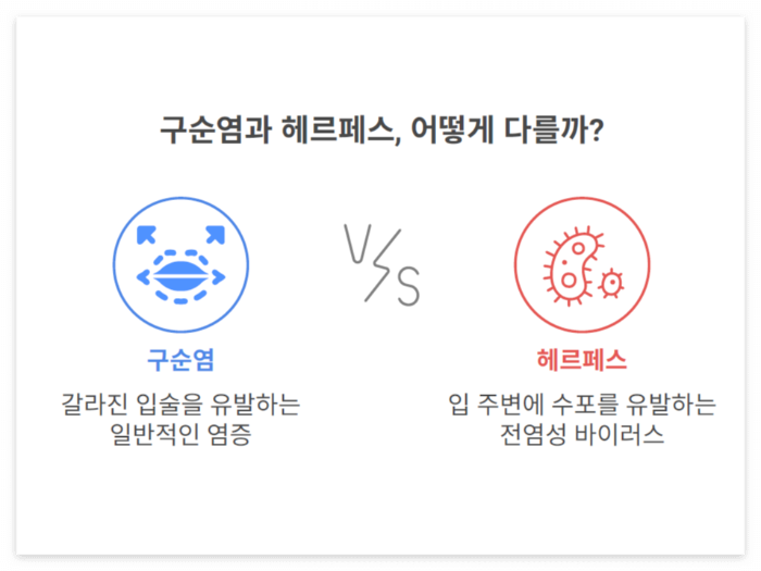 입술이 붓고 간지러워요! 구순염 vs 헤르페스, 비슷하지만 전혀 다른 두 질환