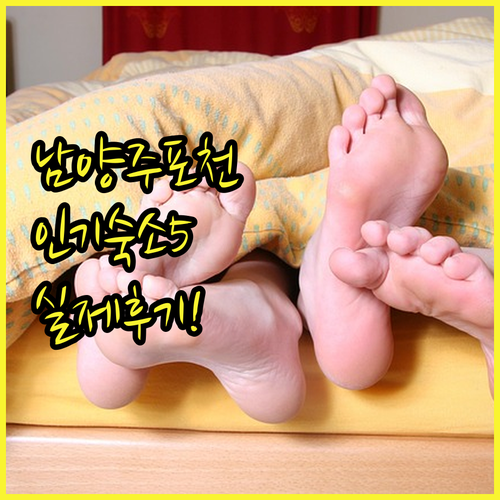 남양주 포천 인기 숙소 베스트 5 시..