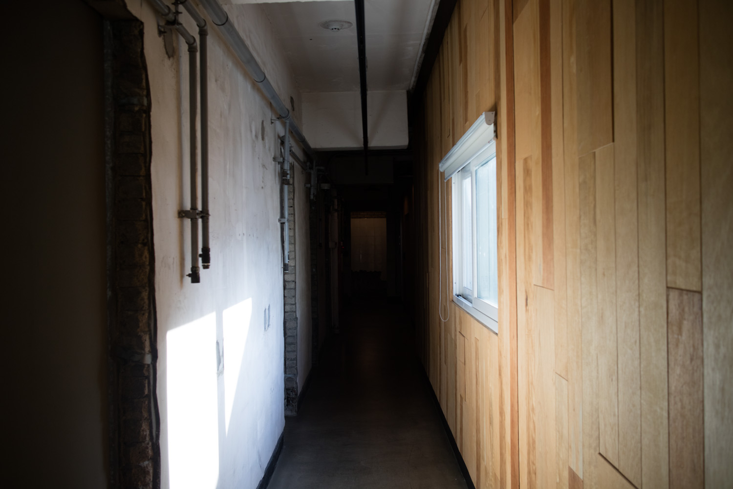 예술의 시간 전시회 산 자와 죽은 자 가운데