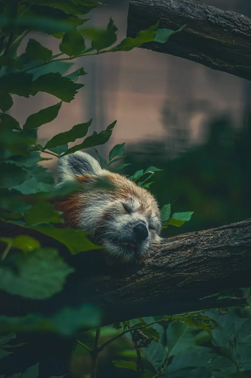 온열 질환 열사병 증상 조치 예방 추천 아이템