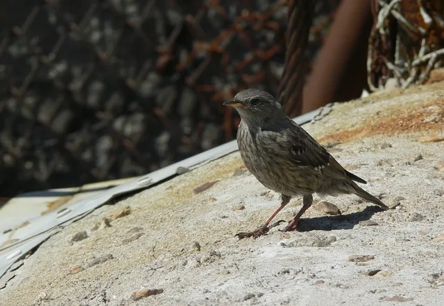 미역국 맛있게 끓이는 방법과 깊은 맛 내는 팁_1