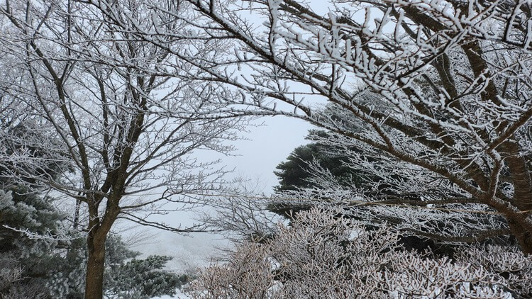 겨울 국내 여행: 11월 한라산 등반기