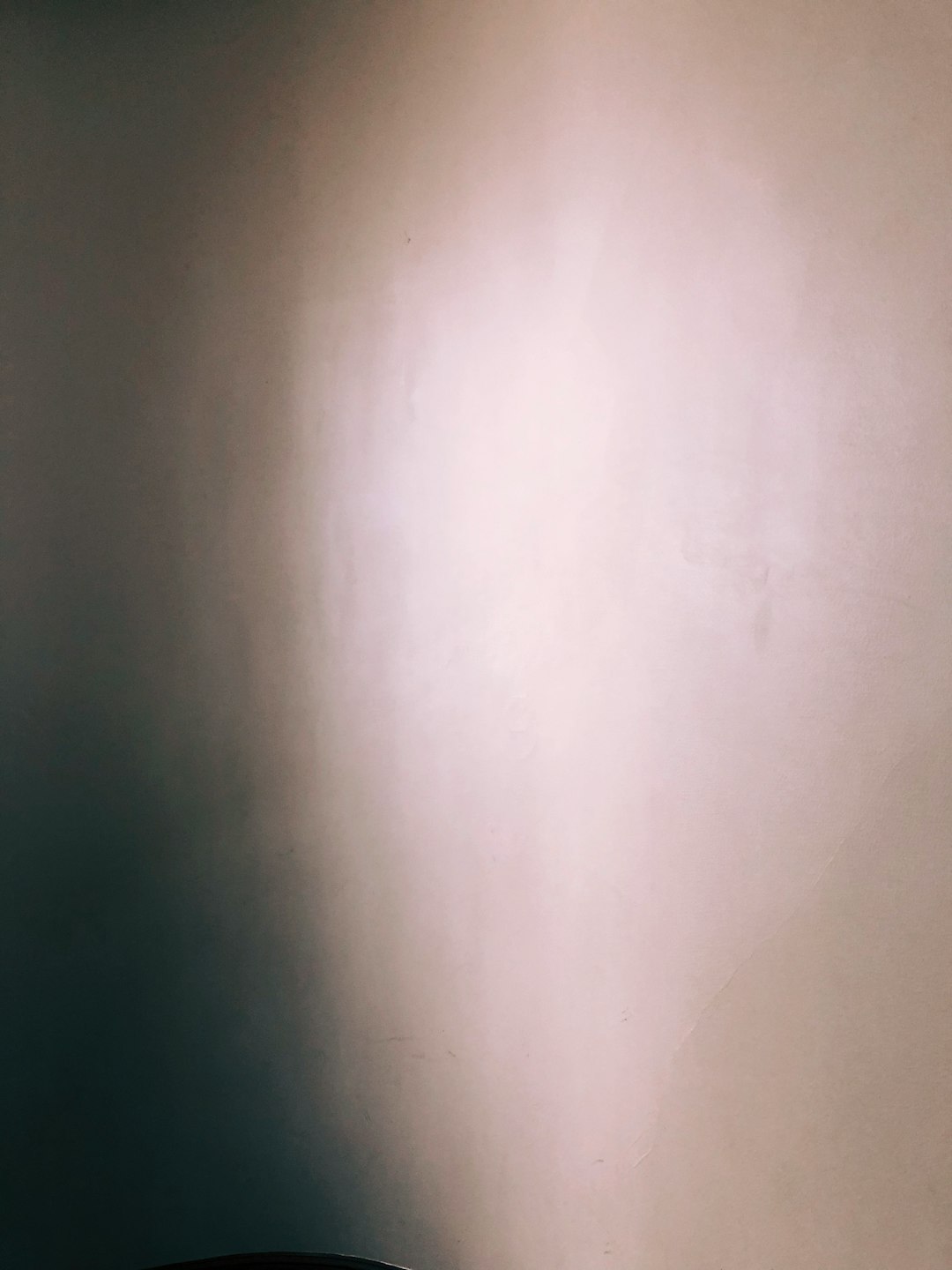 배정남 벨 구제거리 사건 정리 &amp;#124; 배정남 나이&middot;반려견&middot;파리 패션쇼 이슈