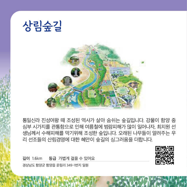[명품숲길 50선] 함양 상림숲길 : 천년의 숲 산책 완전정복