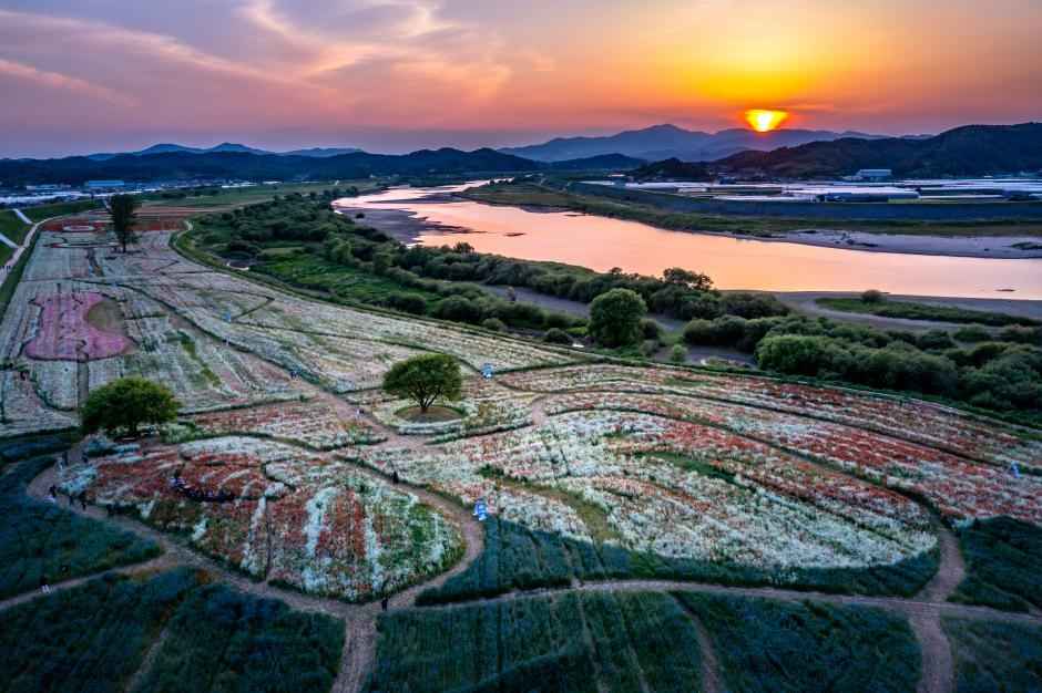 함안 악양둑방