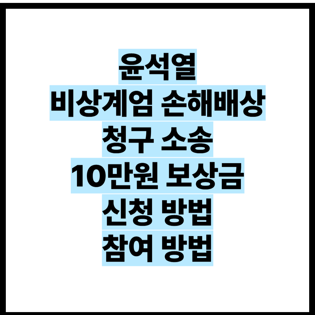 제목은 윤석열 비상계엄 손해배상 청구 소송 10만원 보상금 신청방법