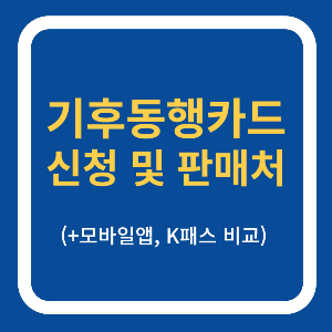 기후동행카드 신청