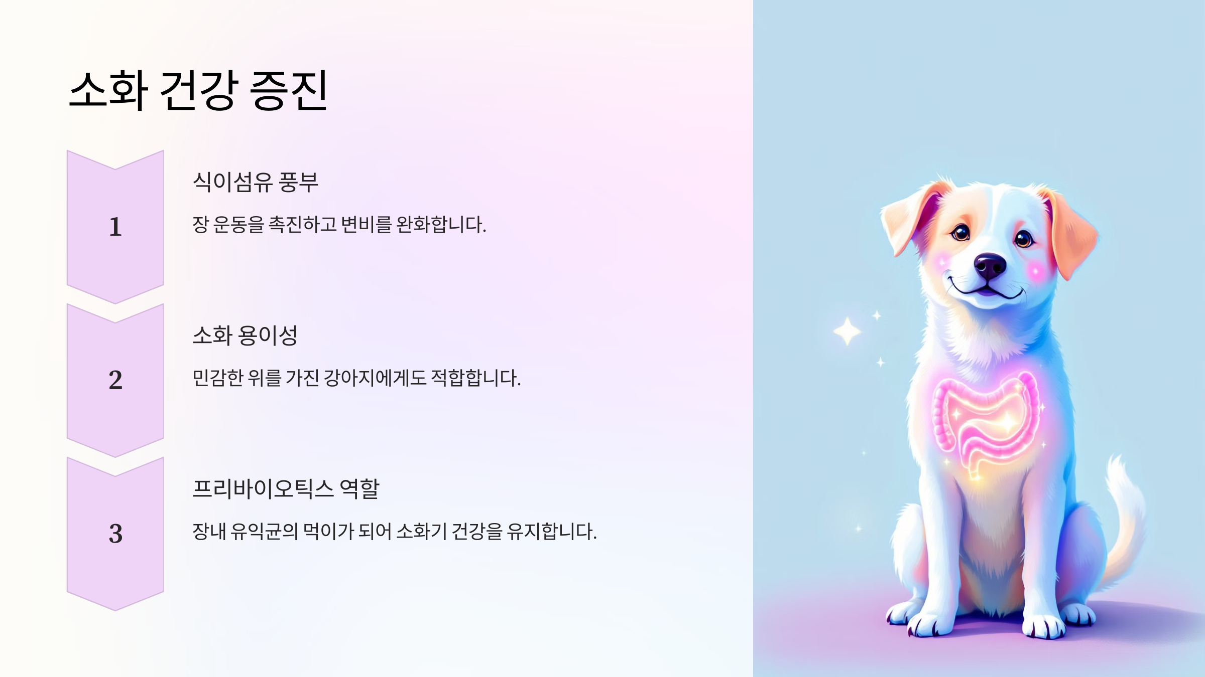 소화 건강 증진