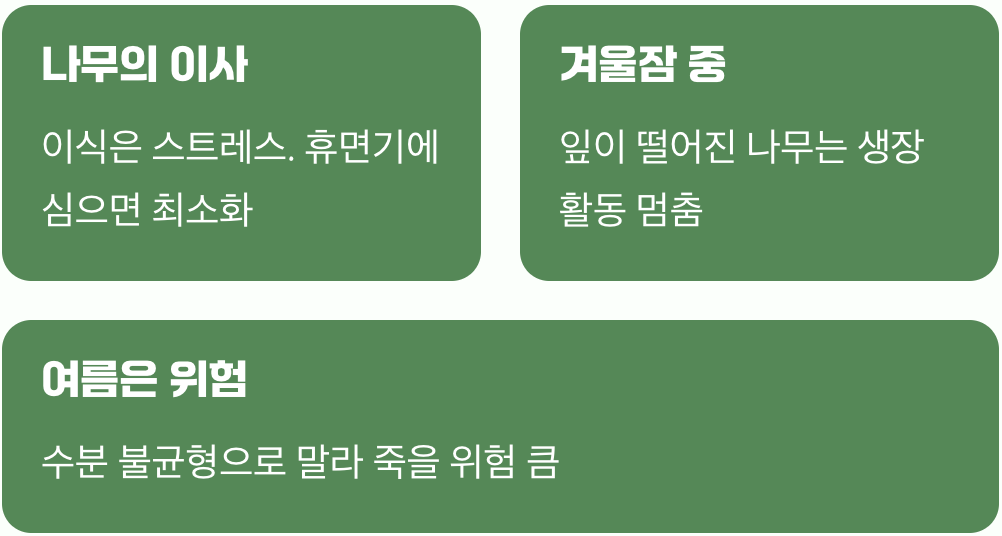 나무가 잠자는 시간을 노려야 하는 이유